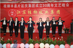丰县区域庆集团成立30周年文艺汇演