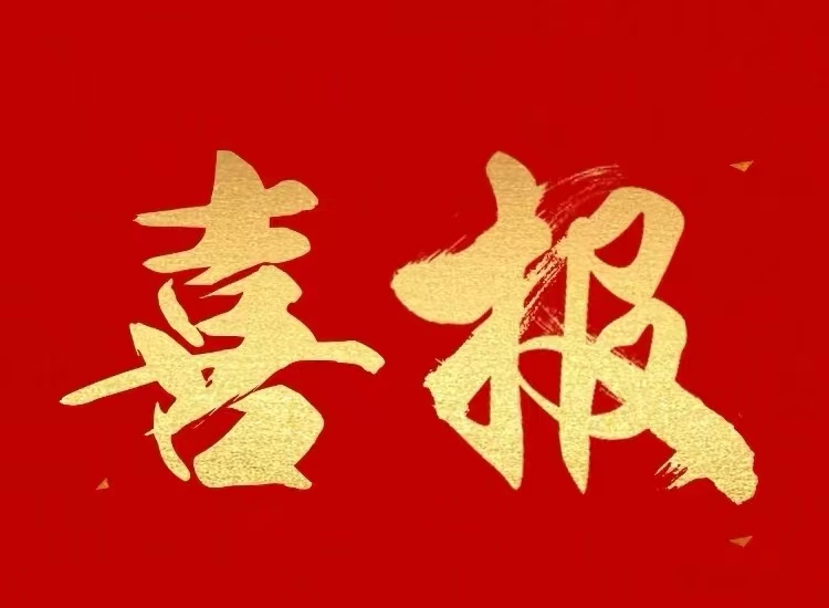 <strong>喜报!广西桂柳牧业集团荣获2025广西民营企业百强第7名</strong>